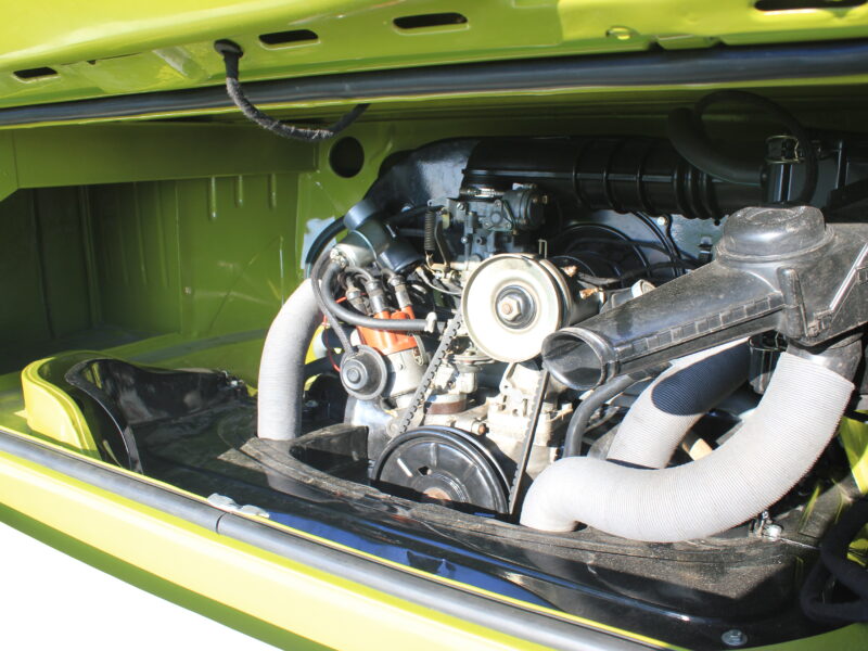 Typowy wół roboczy