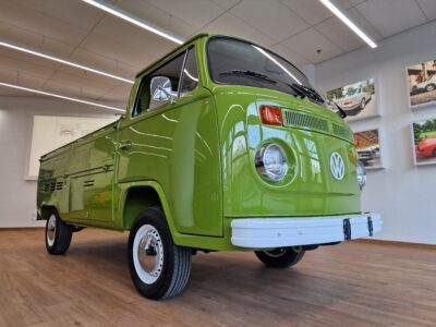 Typowy wół roboczy