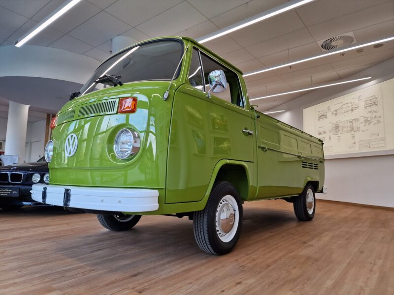 Typowy wół roboczy