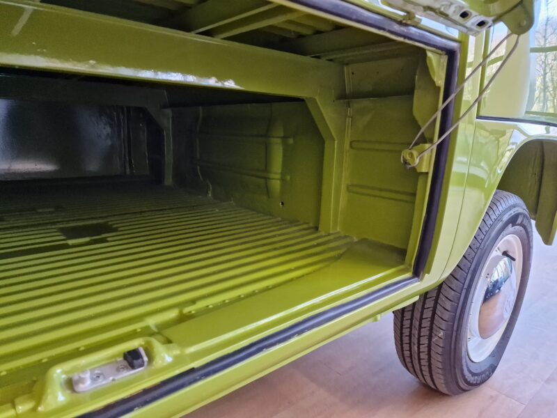 Typowy wół roboczy