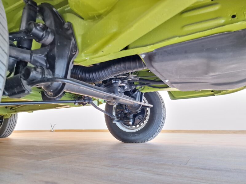 Typowy wół roboczy