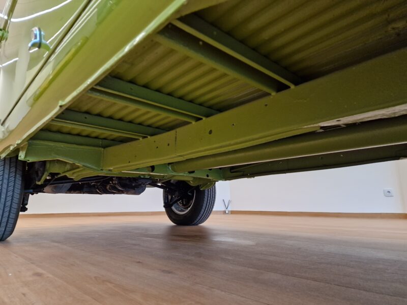 Typowy wół roboczy