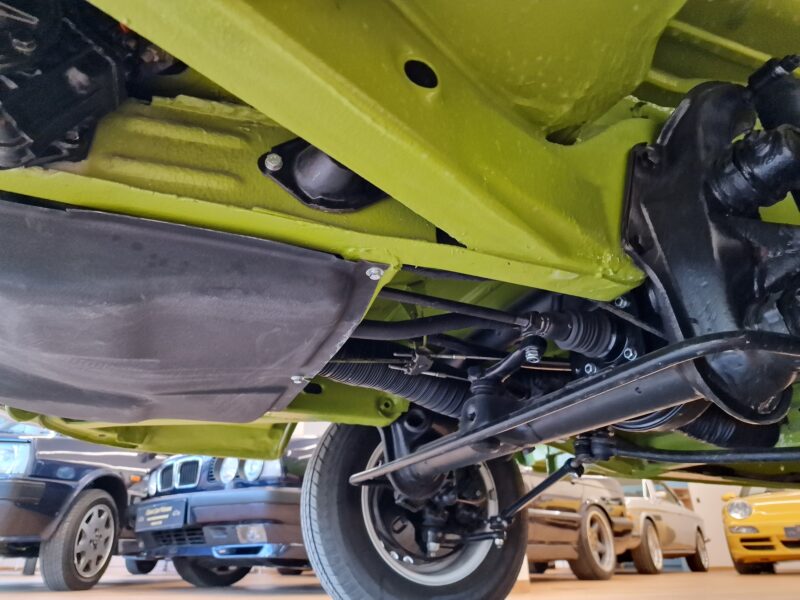 Typowy wół roboczy