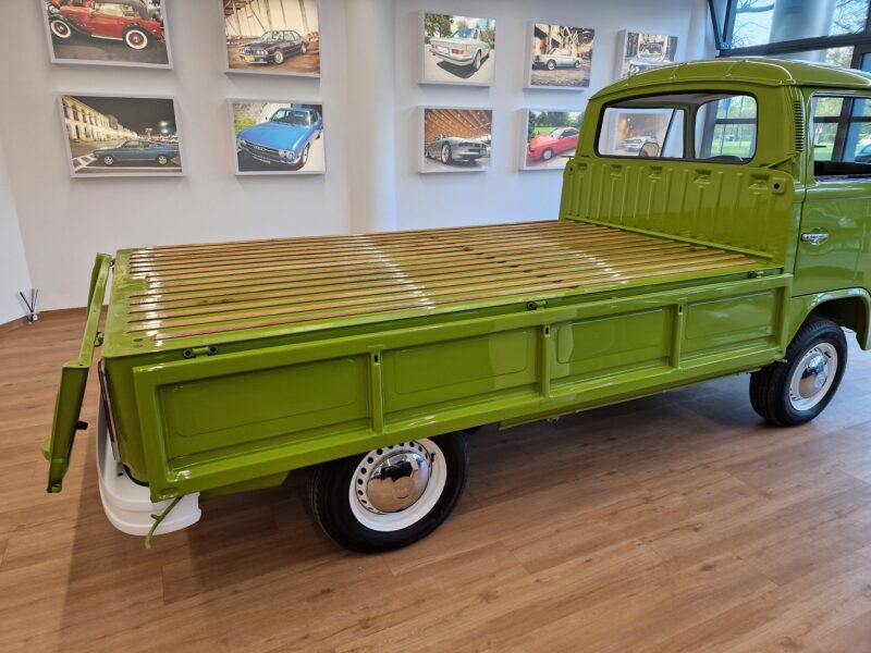 Typowy wół roboczy