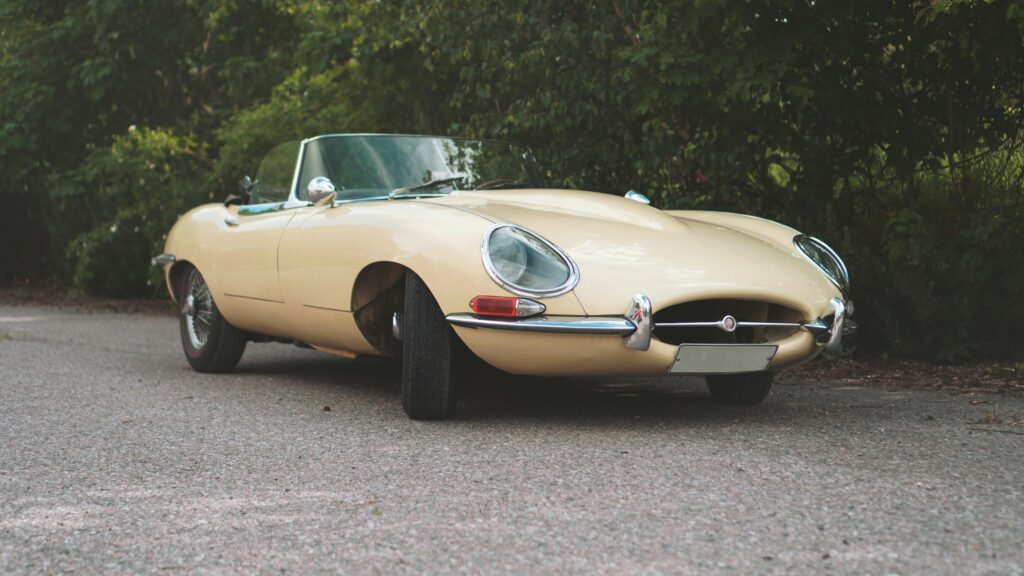 Klasyczny Jaguar E-Type Roadster zaparkowany na leśnej drodze